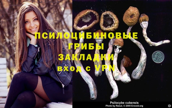 ПСИЛОЦИБИНОВЫЕ ГРИБЫ Абаза