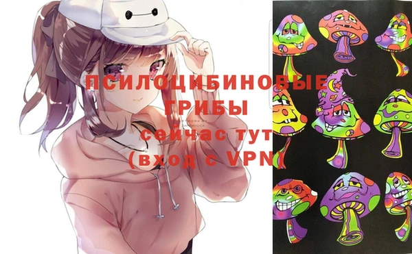 ПСИЛОЦИБИНОВЫЕ ГРИБЫ Абаза