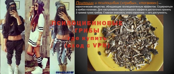 круглые Алексеевка