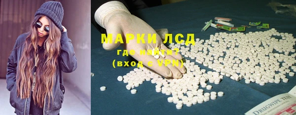 ПСИЛОЦИБИНОВЫЕ ГРИБЫ Абаза