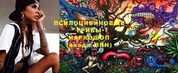 spice Абинск