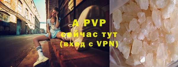ПСИЛОЦИБИНОВЫЕ ГРИБЫ Абаза