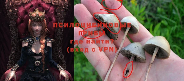 ПСИЛОЦИБИНОВЫЕ ГРИБЫ Абаза