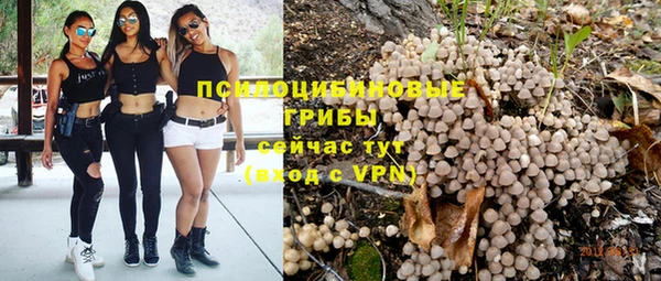 ПСИЛОЦИБИНОВЫЕ ГРИБЫ Абаза