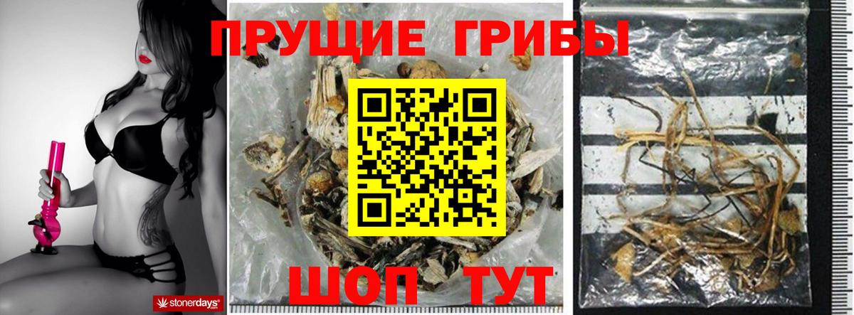 Псилоцибиновые грибы GOLDEN TEACHER Лабинск